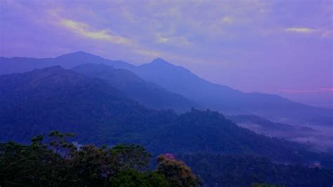 TEA VILLAGE MUNNAR (Chithirapuram) - Hotel Reviews, Photos, Rate ...