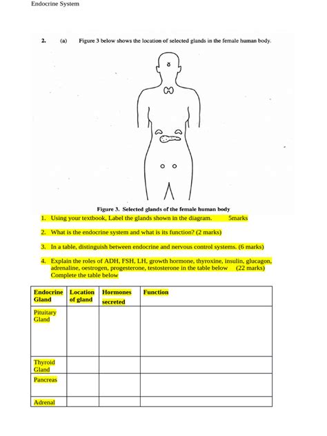 Image result for Endocrine System Worksheet Answers