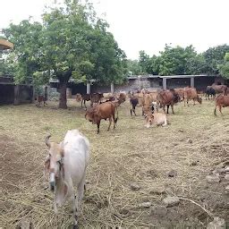 Places in Kunvadar, Gujarat | Yappe.in