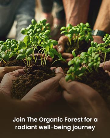 100% Plant Based Peppermint Essential Oil for Hair Growth | Repel Rats ...