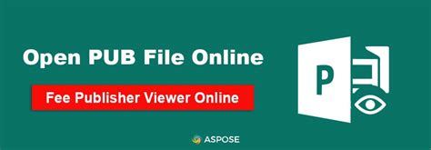 Open Pub File 的图像结果