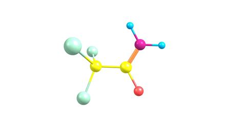 Do Fish Have Blood? - Smore Science