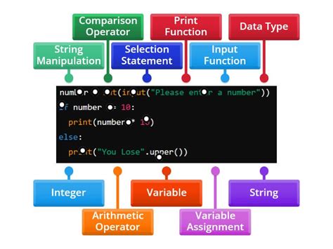 Python Terminology 的图像结果