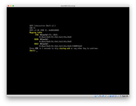 OpenBSD ISO 的图像结果