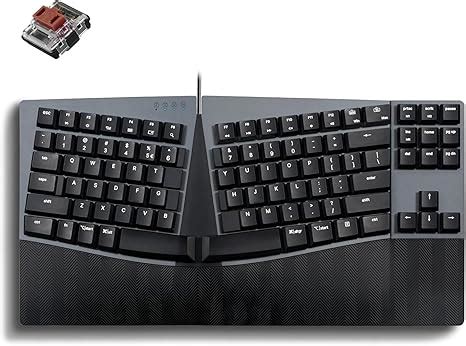 Amazon.in: Buy Perixx PERIBOARD-335BR Wired Ergonomic Mechanical ...