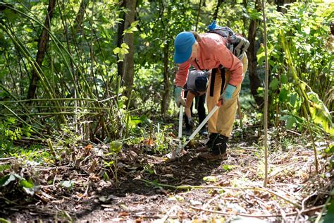 Trail Tuesday: Girtys Woods, Girty's Woods, Etna, 4 June 2024 ...