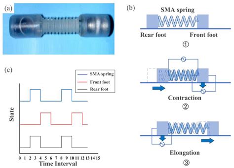 Actuation Mechanisms and Applications for Soft Robots: A Comprehensive ...