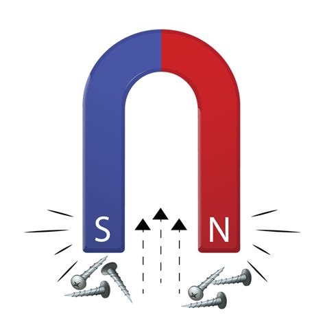 Image result for Magnetic Force Explained