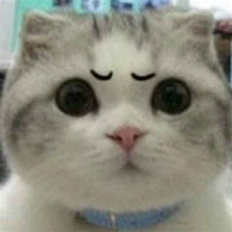 Bluetooth HID Device Code 10 的图像结果