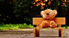 Teddy Wallpaper Hd Size by Teddy At Park 5k Wallpapers Hd Wallpapers Id Teddy Wallpaper Hd Size