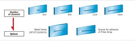 MicroLens Array 的图像结果