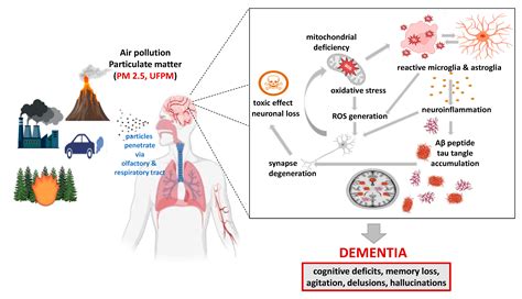 Air Pollution: A Silent Key Driver of Dementia