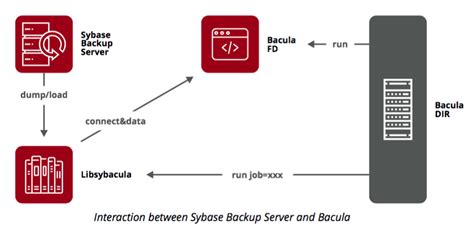 Image result for Sybase Database Operating System