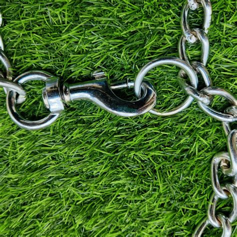 Buy Chullbull Heavy Duty Chain Leash for Dogs (Silver) online at ...