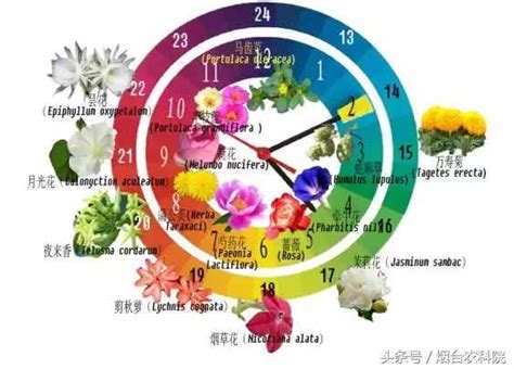 各种花开的时间 告诉你各种花的开放时间_华夏智能网