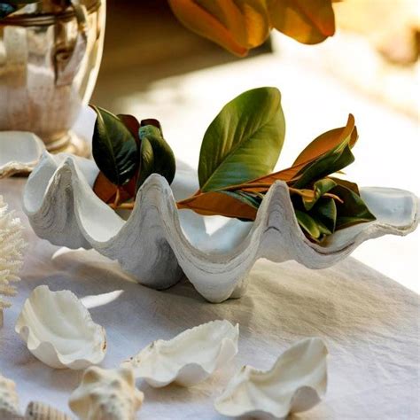 Image result for Large Clam Shells