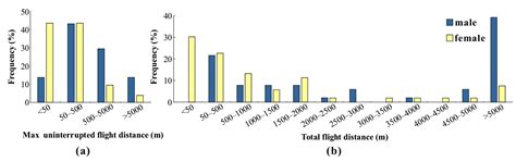 Evaluation of the Potential Flight Ability of the Casuarina Moth ...