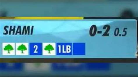 IPL 2023: BCCI confirms plantation of 42,000 saplings after 84 dot ...