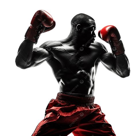 Boxing Knockout Punch 的图像结果