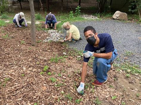 Native Planters, 8480 Hagys Mill Rd, Philadelphia, PA, United States ...