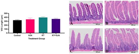 Investigation of Gastrointestinal Toxicities Associated with Concurrent ...