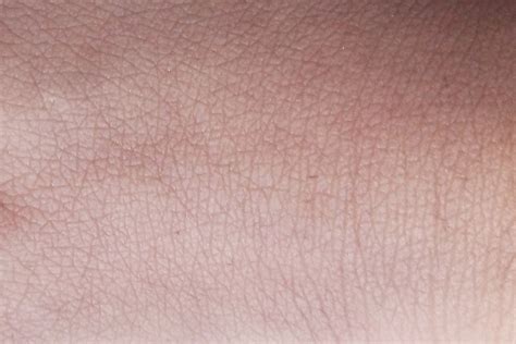 Free Graphic - Download