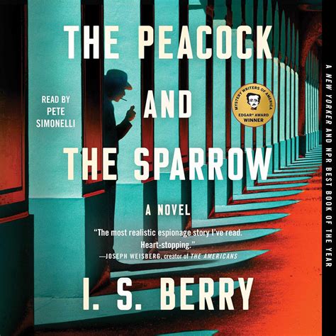 Amazon.com: The Peacock and the Sparrow: A Novel (Audible Audio Edition ...