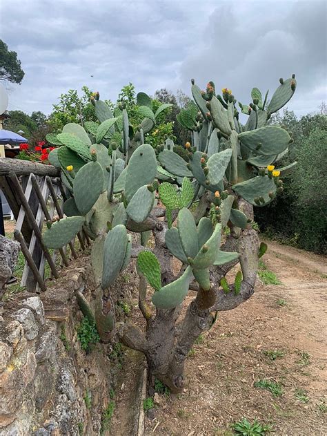 VILLA LE ARGILLE (Rio Marina) - Lodging Reviews & Photos - Tripadvisor