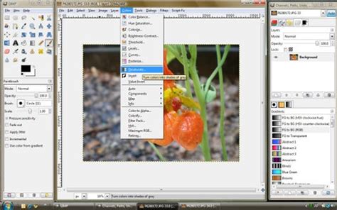 Colorize GIMP 的图像结果