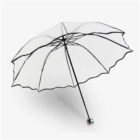 Transparent umbrellas: Shop the best umbrellas for monsoon season