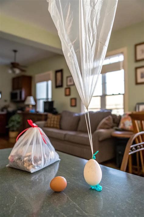 19+ Creative Egg Drop Ideas for Your Next DIY Project