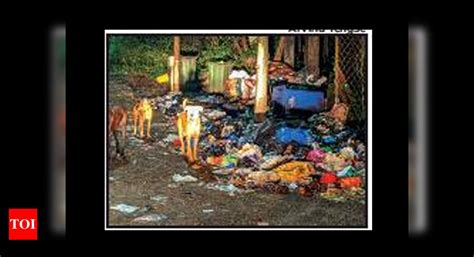 Now, Telengana eyes forest land for dumping waste | Hyderabad News ...