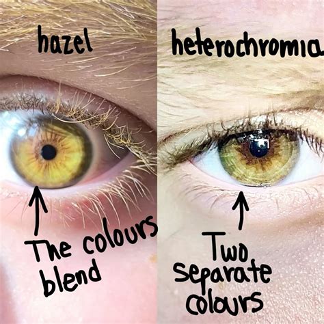 Eheyotli aesthetic (Aztec Deity of)