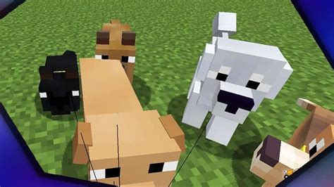 Image result for Copious Dogs Mod Install 1 7 10