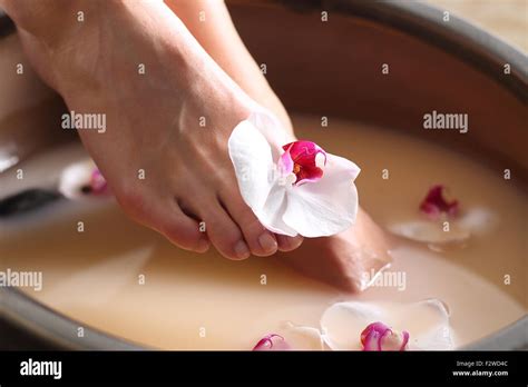 Image result for Foot Washing Service Home