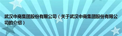 武汉中商集团股份有限公司（关于武汉中商集团股份有限公司的介绍）_城市经济网