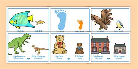 Big And Little Comparison Display Posters Romanian - Twinkl