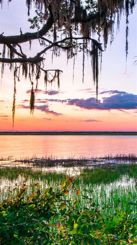 Golden Isles, Georgia | History, Art, & Culture
