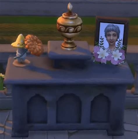 Image result for The Sims Tutorials Death Gra