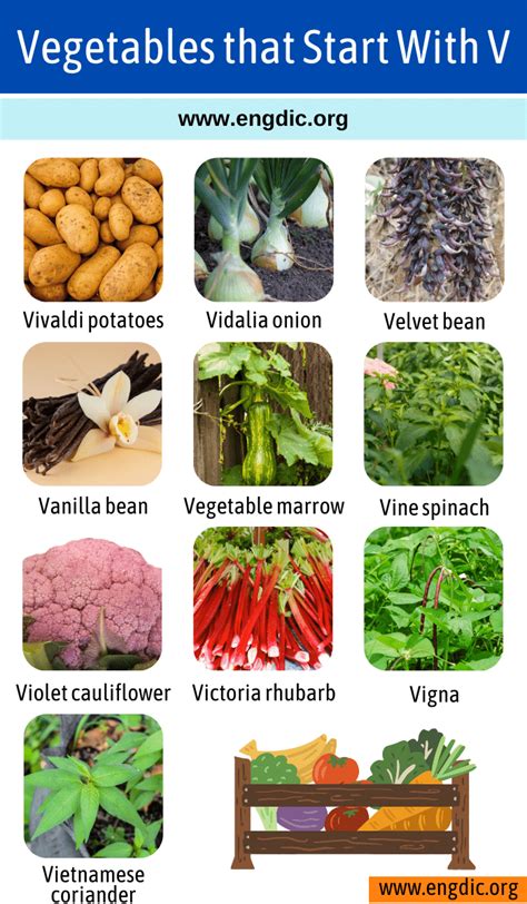 Materials That Start With V at Lucinda Mccathie blog