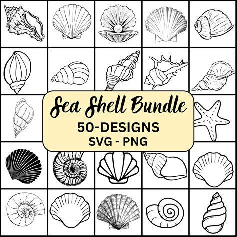 Image result for SeaShell SVG