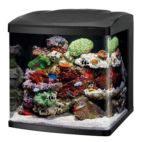 Image result for Biocube Maintenance Tips