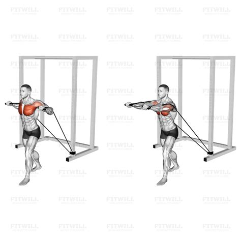 Band Standing Chest Press (VERSION 2): Exercise Guide, Techniques ...