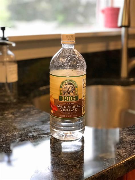 Get Rid Of Ants In Kitchen Vinegar | Besto Blog