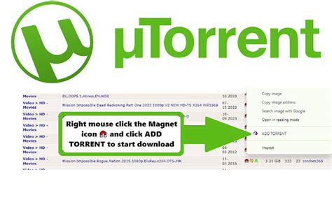 Image result for BitTorrent Installation Guide