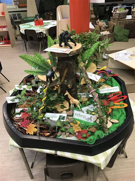 Jungle Theme Eyfs Activities at Carlos Cristopher blog