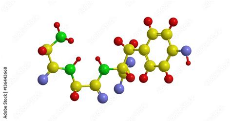 Image result for What Is Polypeptide