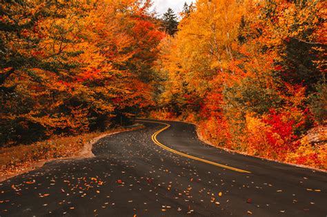 New England Fall Foliage Forecast Prediction for 2025 - Onshoppi ...