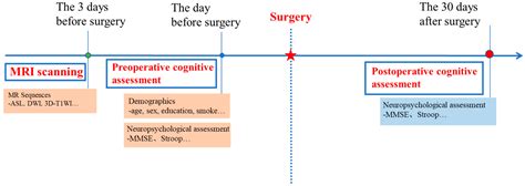 The Combination of Presurgical Cortical Gray Matter Volumetry and ...