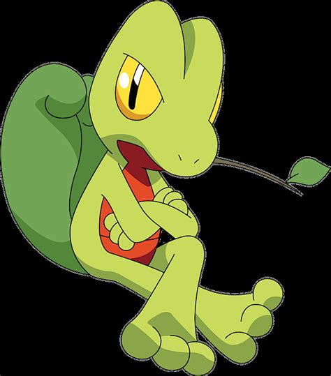 Image result for Pokemon Treecko Evolution